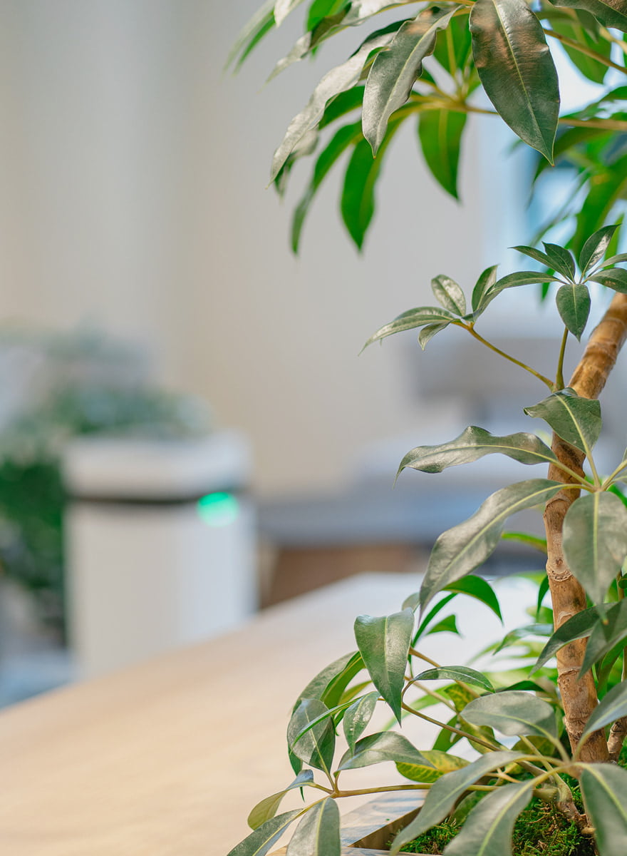 高性能空気清浄機で清潔な空気 高性能空気清浄機で清潔な空気